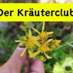 Der Kräuterclub