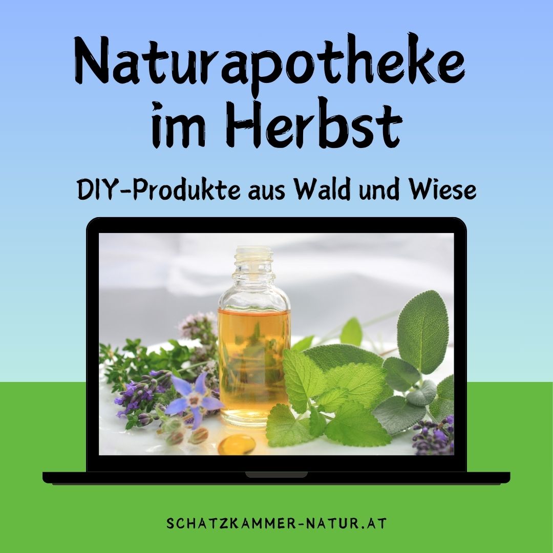 Naturapotheke Herbst