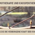 Gemmotherapie