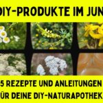 Heilkräuter im Juni