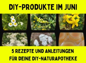 Heilkräuter im Juni