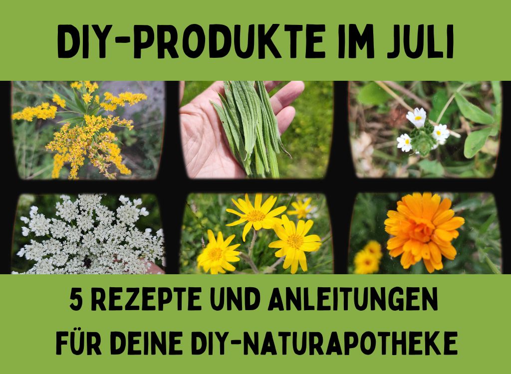 Heilkräuter im Juli