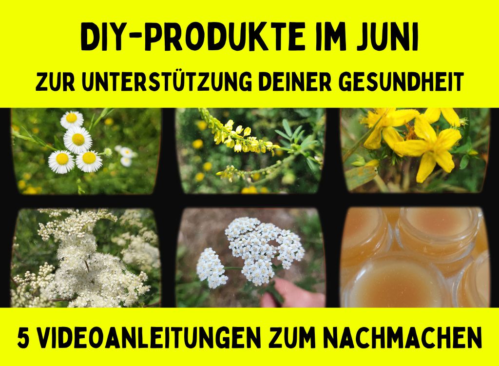 DIY-Produkte im Juni