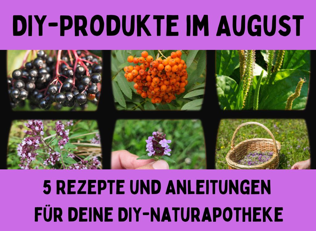 DIY-Produkte im August