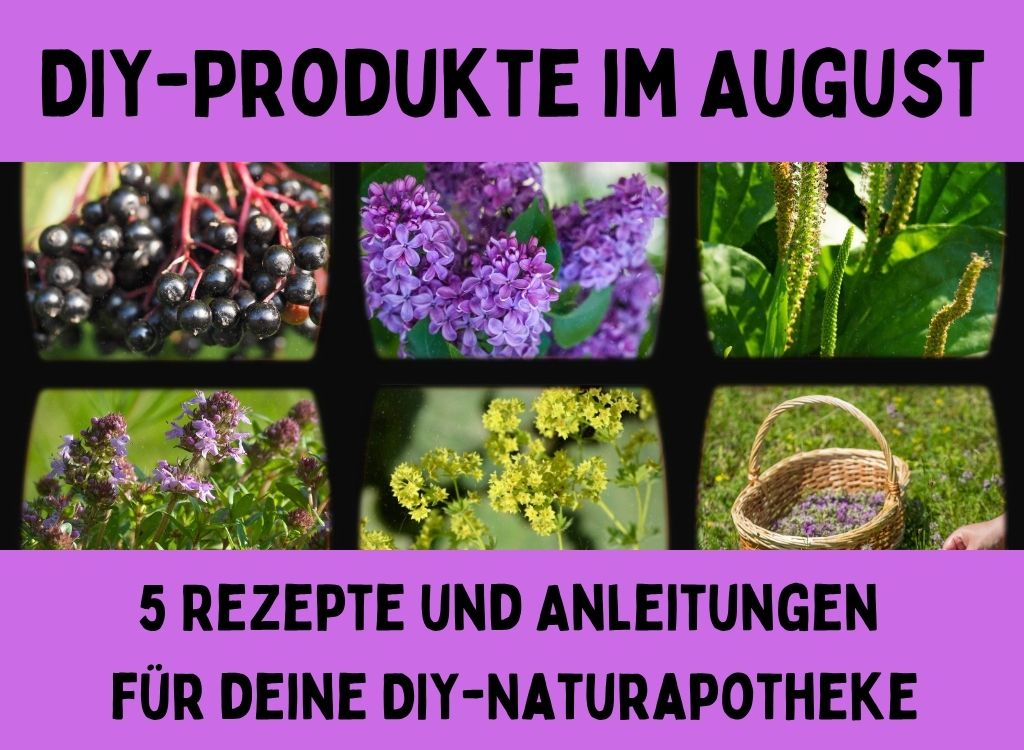 DIY-Produkte im August