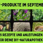DIY-Produkte im September DIY-Produkte im September