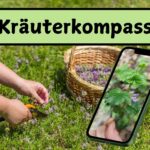Kräuterkompass