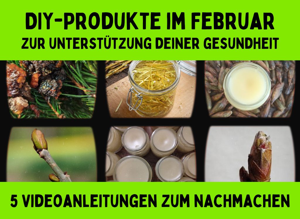 diy-februar