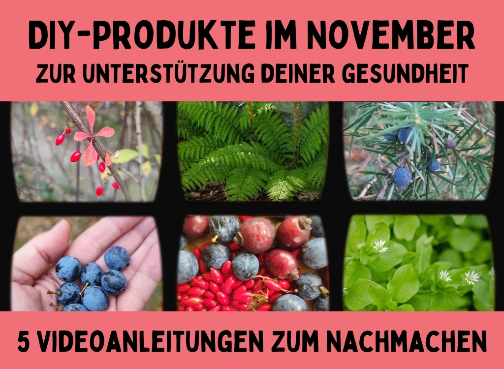 DIY-November
